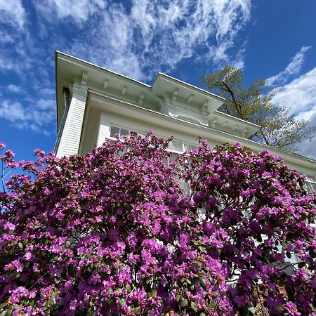 Bloom Farm Guesthouse Mount Vision Екстер'єр фото