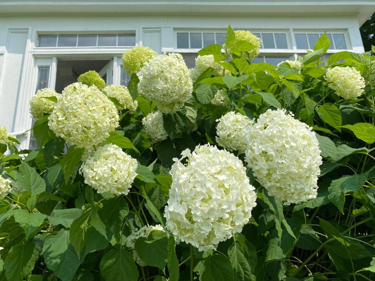 Bloom Farm Guesthouse Mount Vision Екстер'єр фото